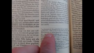 Critique | Luther Bible 2017 screenshot 1
