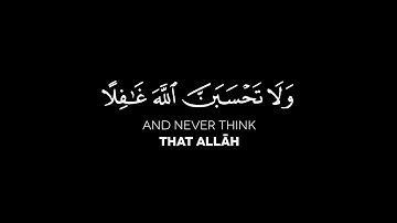 {وَلَا تَحْسَبَنَّ ٱللَّهَ غَـٰفِلًا} سورة إبراهيم الآية: 42 | عبد الرحمن مسعد حفظه الله