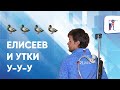 Биатлонист Елисеев и утки у-у-у 🦆🦆🦆🦆 #shorts