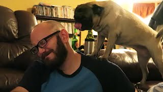 WHEN PUGS ATTACK! - Travel Vlog Day 23