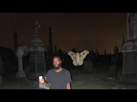 Death Grips Know Your Meme - death grips song id roblox
