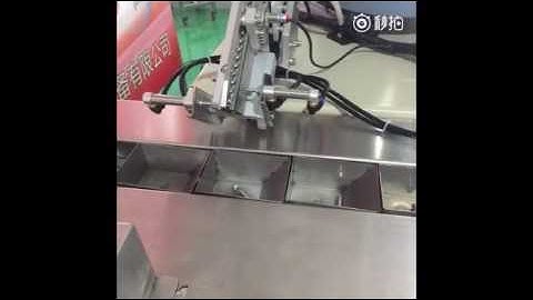 Automatic screw packaging machine with counting systems for hardware fastener