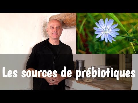 Vidéo: Cinq Raisons Pour Lesquelles Les Vétérinaires ADORENT Les Prébiotiques