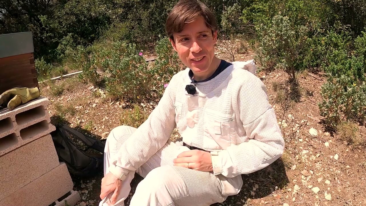 Avril 2023. E61 Première visite de printemps, agrandissement des colonies | Il était temps !