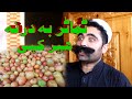 Tamatar ba darna her kre zan warta tayar kre  swat kpk vines funny and islahi