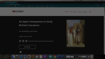 Accessing and Making Annotations