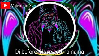 DJ viral Dj before  i love you na na na | free Download Link Mediafire