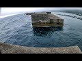 1泊2日で筏と沖堤防に行ってみたら… 【幻の魚を求めて #3】