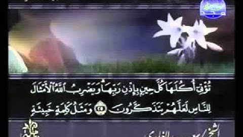 ختمة الشيخ سعد الغامدي 14 سورة إبراهيم