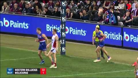 Crameri the Opportunist - AFL