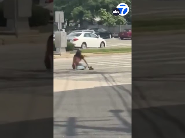 Suspect waving gun struck by police car in New York class=