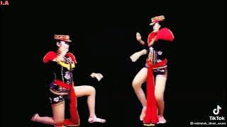 story wa ndolalak dewi arum