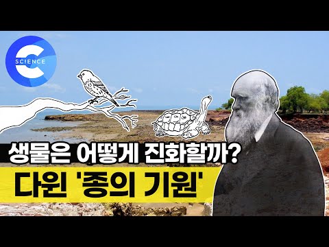 &rsquo;한 컷의 과학&rsquo; 생물은 어떻게 진화할까?