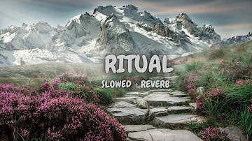 Alan Walker - Ritual (Slowed + Reverb) | Lofi Song | Music verse