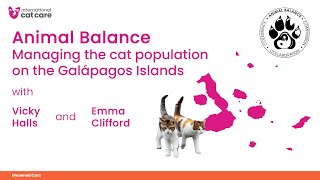 Managing the cat population on the Galápagos Islands