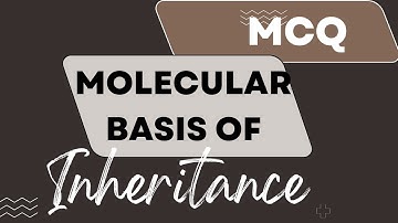 Class 12 Biology: Chapter 6 : Molecular basis of inheritance: MCQ: foe NEET