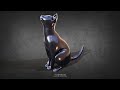 Cat 3DP