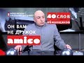 Он вам не дружок! 40 слов-обманщиков в Итальянском языке.