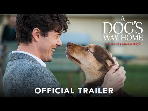 A Dog's Way Home trailer