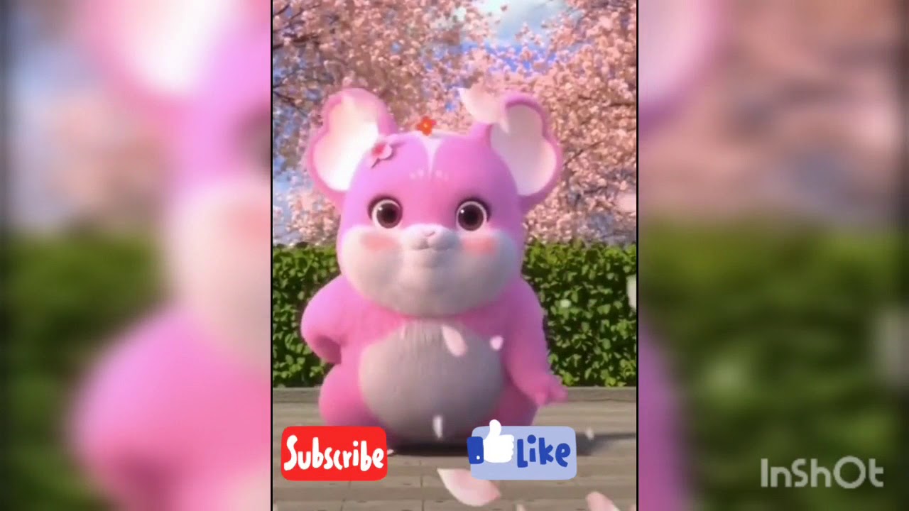 Hamster cantik lucu lagi joget/hamster pink cantik