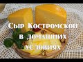 Сыр Костромской , мастер класс по приготовлению в домашних условиях