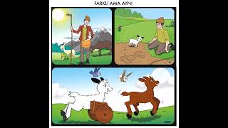 Farklı Ama Aynı 3. Sınıf Türkçe Dinleme