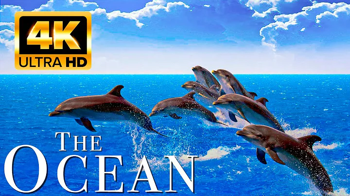 3 HOURS of 4K Underwater Wonders + Relaxing Music - Coral Reefs & Colorful Sea Life in UHD