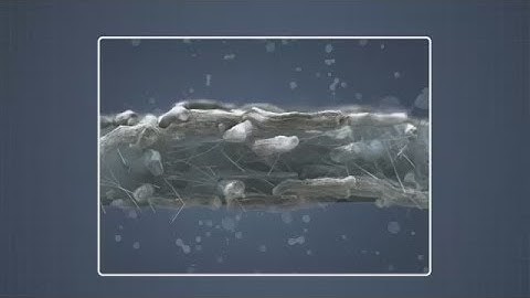 Common Physical Tests for Paper and Board