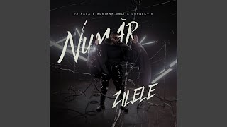 Număr zilele