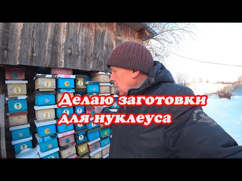 Видео: ДЕЛАЮ ЗАГОТОВКИ ДЛЯ НУКЛЕУСА И ИХ СБОРКА