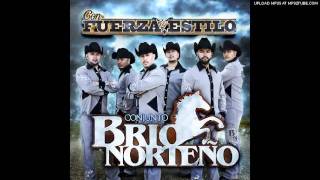 Video thumbnail of "Conjunto Brio Norteno - Te Propongo"