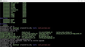 vBNG Router Software Upgrade - Virtual BNG Training Series (3)