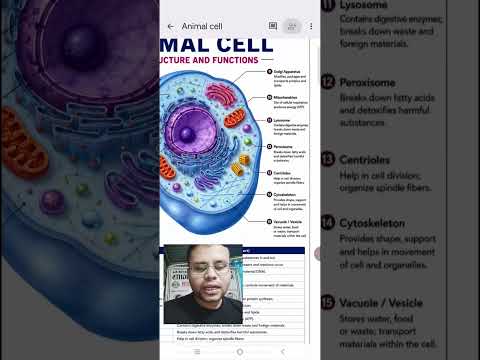 🐾 Animal Cell in 60 Seconds | Animal Cell Diagram & Functions | Class 8–10 Science#shorts#animalcell