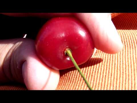 Popping a cherry on a french beach