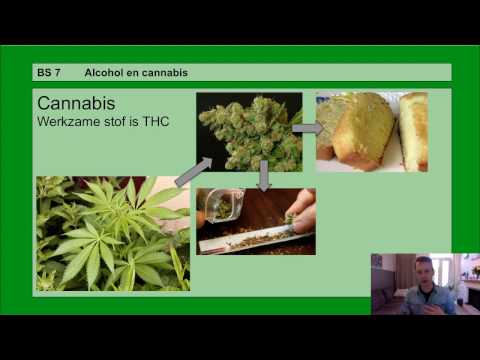 Basisstof 7 Alcohol en cannabis