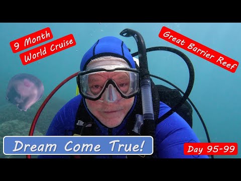 Great Barrier Reef Cairns Australia Snorkeling and Diving Video Thumbnail