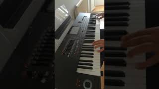 Top Of The World On Korg Pa4x