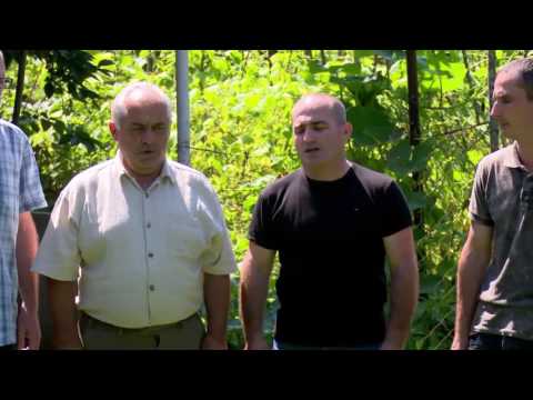 მგზავრული • სოფ ცხემლისხიდიოზურგეთი