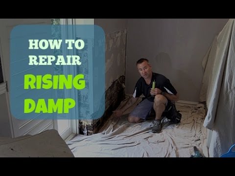 How To Repair Rising Damp In A Wall.