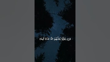 (فَإِنْ يَتُوبُوا يَكُ خَيْرًا لَهُمْ) القارئ احمد خضر