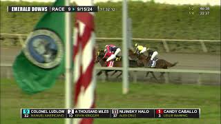2024 Gottstein Futurity