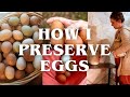 Living in the overflow preserving the egg abundance chicken chores and working with the littles