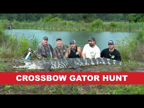 Florida Alligator Hunt with Crossbow