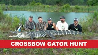 Florida Alligator Hunt with Crossbow