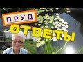 Мой плёночный пруд. Ответы на вопросы. Осень. Пруд не чистили два года от ила