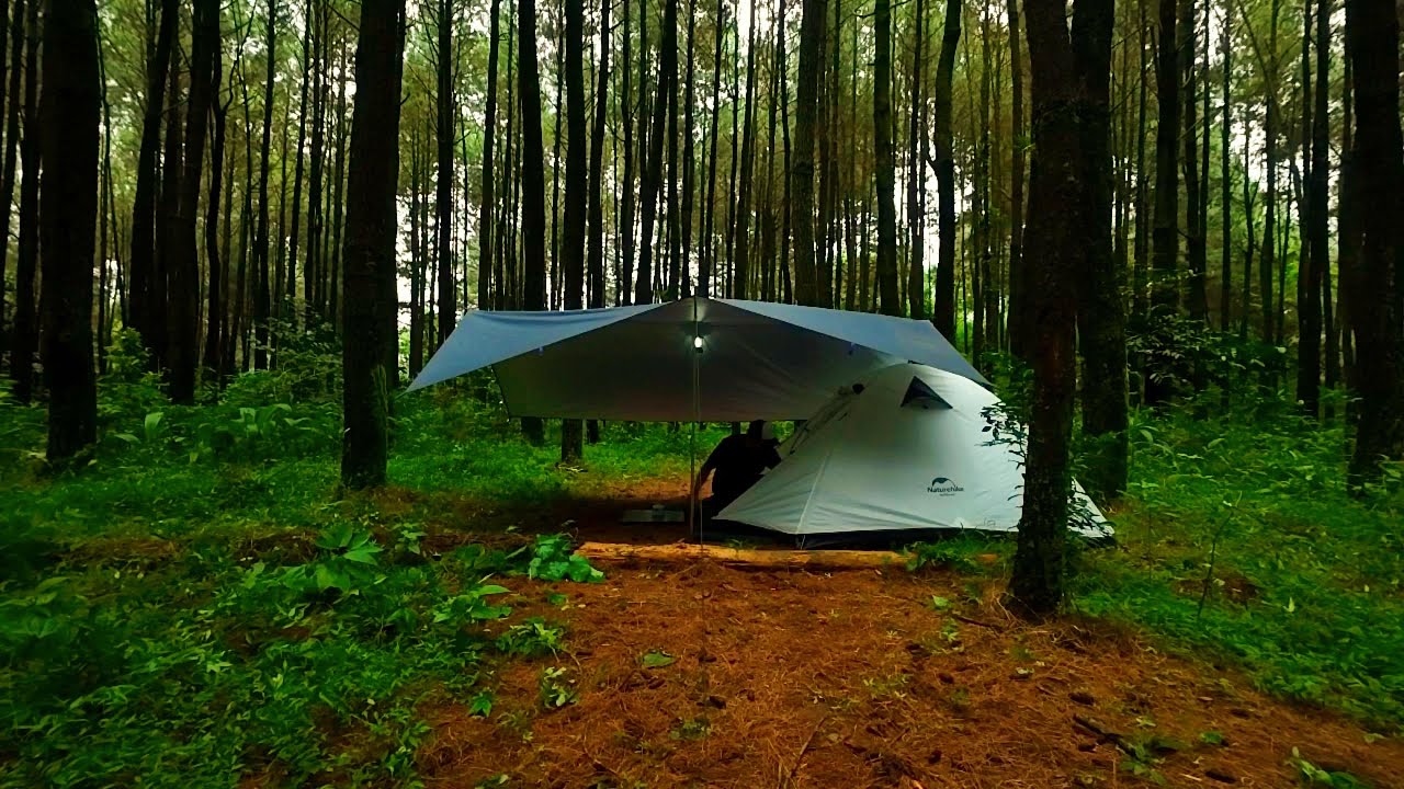 Cozy Camping Alone in the Woods — Cooking Steak for Dinner