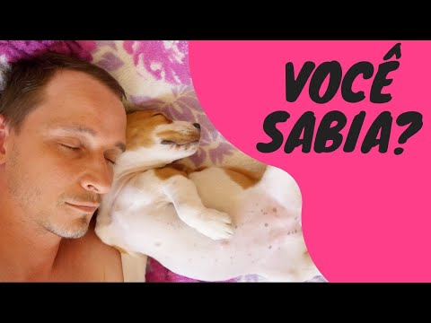 Vídeo: Revisão De Cães Dormindo