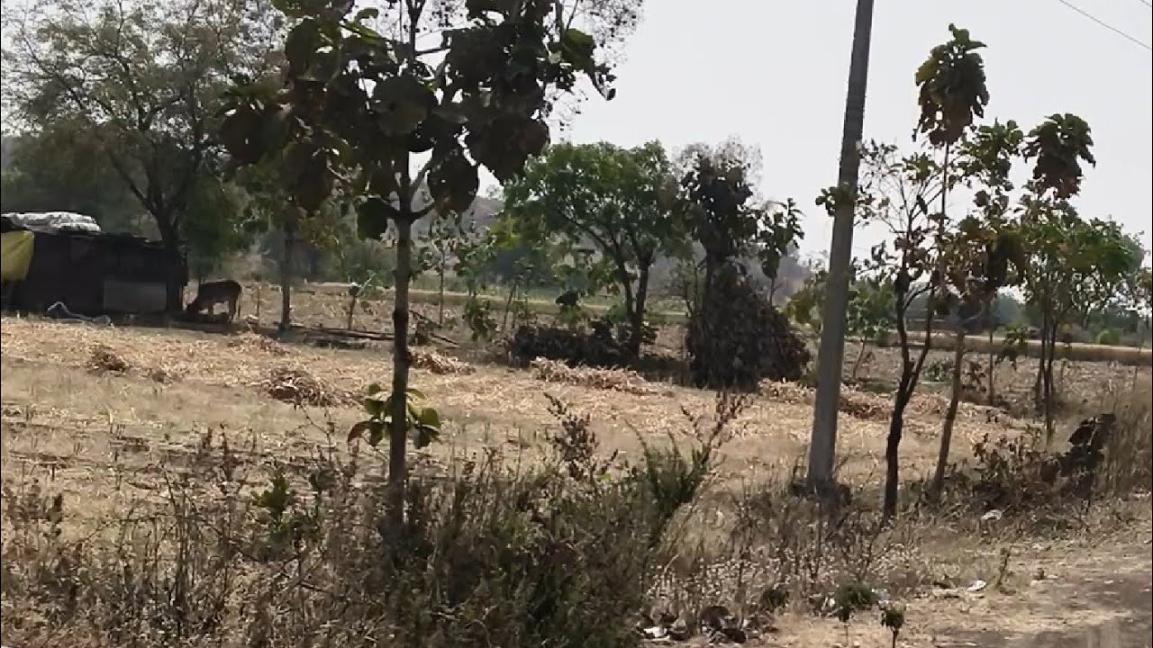 भाई और बहनों आपका welcome hai 🥰