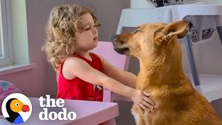 Dog Labeled "Unadoptable" Becomes The Sweetest Big Sister | The Dodo
