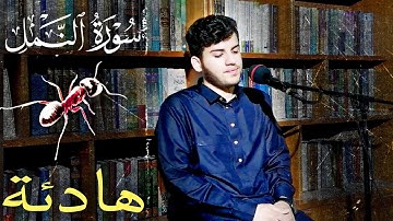 تلاوة خاشعة لا توصف " ما تیسر من سورة النمل " بصوت#مسلم_الهموندي